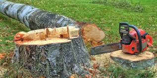 Best Tree and Shrub Care  in Rigby, ID