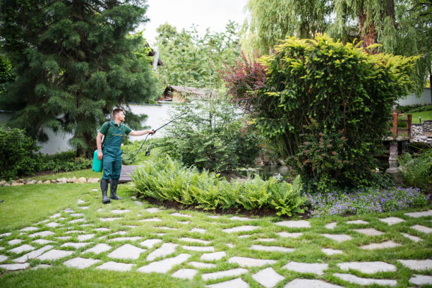 Best Tree Cabling and Bracing  in Rigby, ID