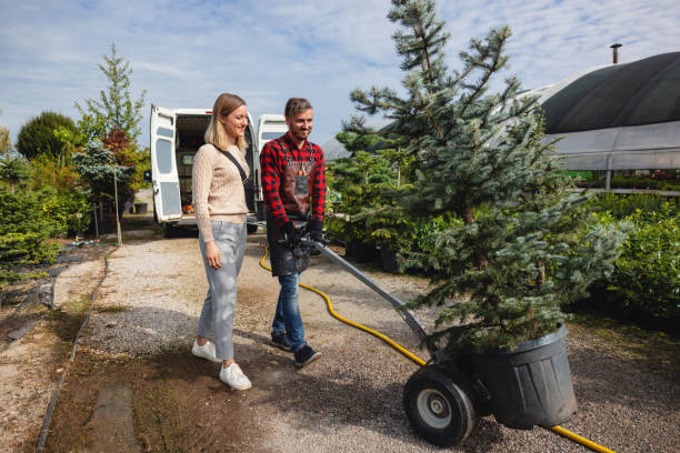 Best Leaf Removal  in Rigby, ID